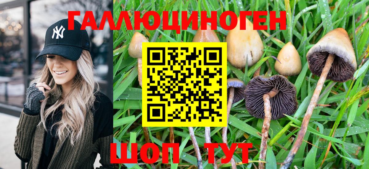 Псилоцибиновые грибы Cubensis  Псилоцибиновые грибы Magic Shrooms  Елизово  Вход с VPN 